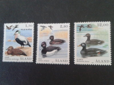 åland 1987 vesilintuja**