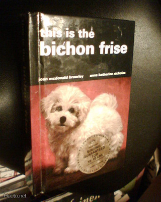 Brearley - Nicholas THIS IS THE BICHON FRISE (Sis.pk:t)