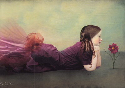 Catrin Welz-Stein: Kukan voima