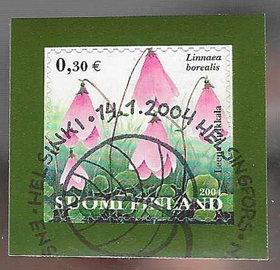 2004 VANAMO FDC LEIMALLA HYVÄ KOKONAISUUS