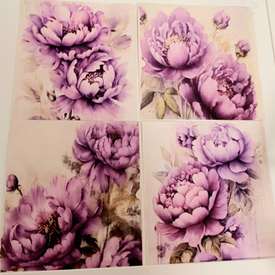 Kuviopaperi PIONIT / 4 kpl -setti / 14 x 14 cm