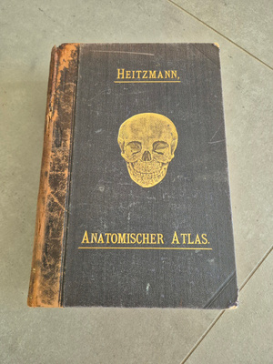 Anatomie (kuv. 1896)