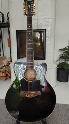 Ibanez AEL2012