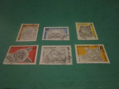 POSTIMERKKEJÄ   kissa aihe  6 kpl  Bulgaria