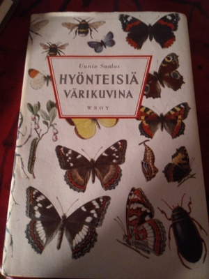 HYÖNTEISIÄ VÄRIKUVINA : UUNIO SAALAS