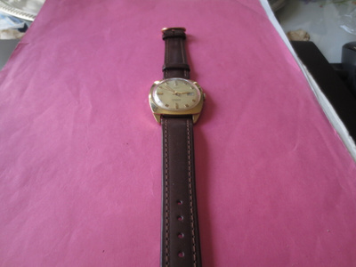 Miesten Rannekello Timex, Automaatti