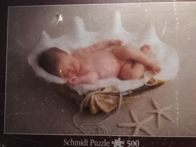 Palapeli 500 palaa Anne Geddes