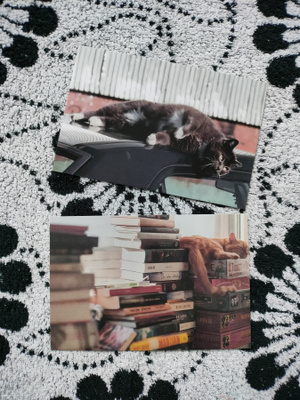 ~Kissa kortti~ 2kpl