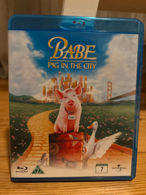 Babe pig in the city