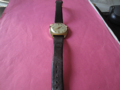Miesten Rannekello Timex, Automaatti