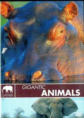 SAFARI GIGANTIC ANIMALS (19 489) k -FI- DVD