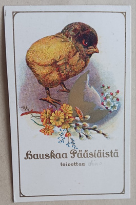 Tipu, kullattu munankuori ja pikkukukkia, pikkupk, k. k-k