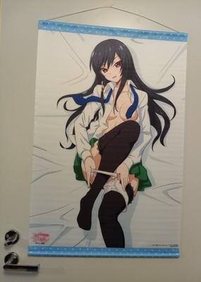 Yui Kashii kangasjuliste