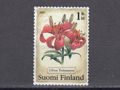 2007 Lape 1830 Tarhasarjalilja