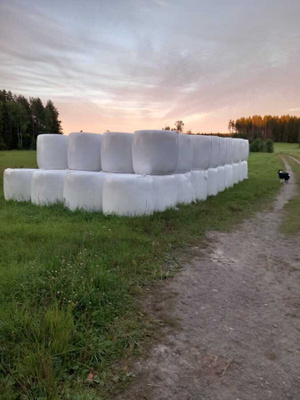Tuoretta heinää muovipaaleissa