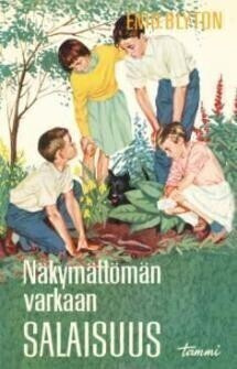 Blyton - Näkymättömän varkaan salaisuus