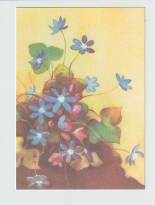 Postikortti, TAIDE, MARTTA WENDELIN,