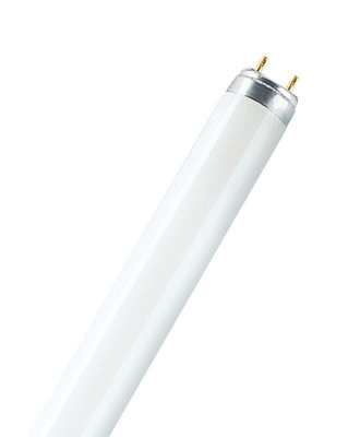 OSRAM - Loistelamppu T8 - T8 L 18W/865 600 G13 1300lm