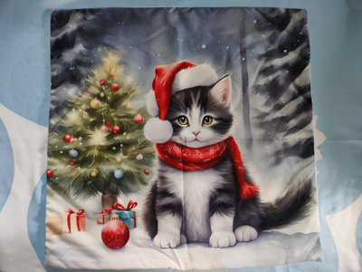 ~Koristetyynynpäällinen~ kissa