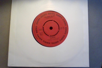 VALENTINO  ::  I WAS BORN THIS WAY  ::  VINYYLI  7"  1975  !