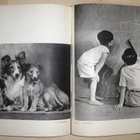 Photograms of the year 1956 - pikkukuva 2
