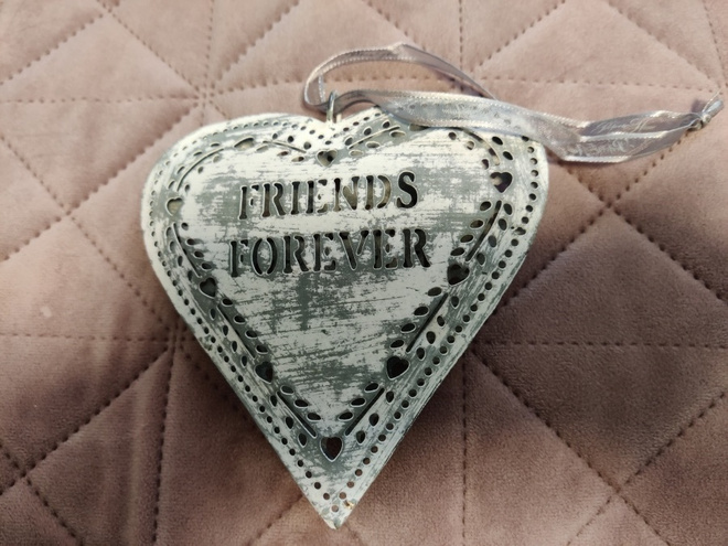 Peltisydän friends forever