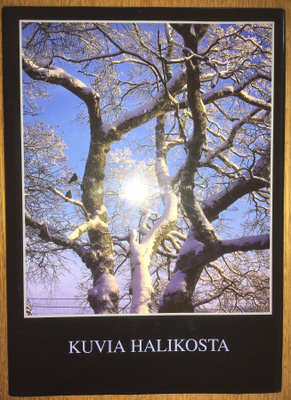 Kuvia Halikosta