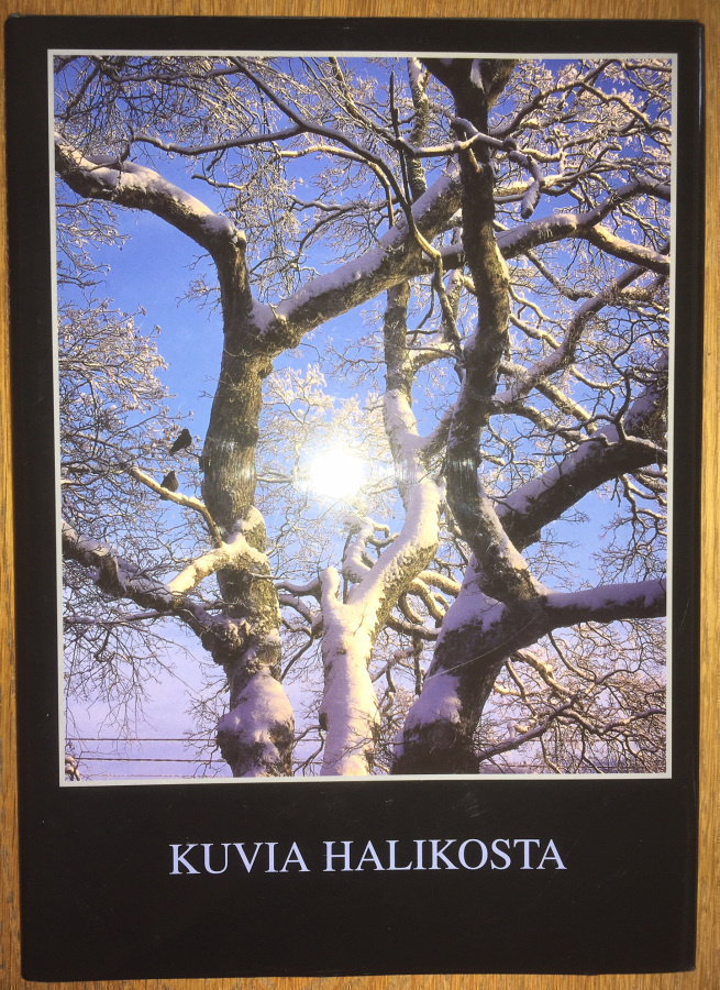 Kuvia Halikosta