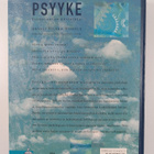 Anneli Vilkko-Riihelä : Psyyke : psykologian käsikirja - pikkukuva 2
