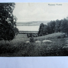 Muurame Penttilä - 1912 - pikkukuva 1