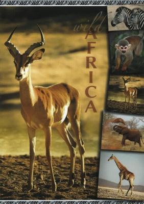 Wild Africa: 2 #3031