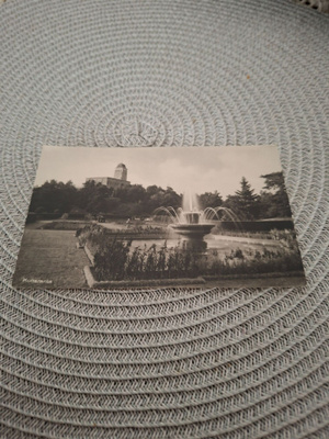 8Z Kultaranta