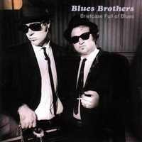 Blues Brothers  - Briefcase Full of Blues CD