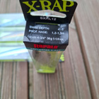 Rapala saltwater x-rap 12cm - pikkukuva 2