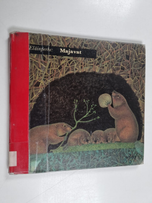 Eläinperhe : majavat