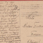 Nukke ja koiranpennut - kulk v 1921 - pikkukuva 2