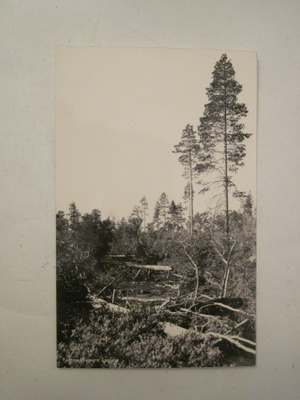 VANHA Postikortti Lappi 1950-l Alkup.Mallikappale