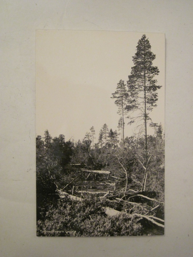 VANHA Postikortti Lappi 1950-l Alkup.Mallikappale