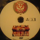 Dorm daze - Huumaa kampuksella , DVD - pikkukuva 3