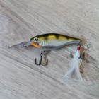 Rapala viehe - pikkukuva 2