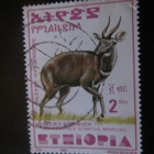 Etiopia 2000: antilooppi - pikkukuva 5