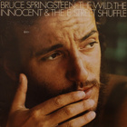 Bruce Springsteen – The Wild, The Innocent & The E Street - pikkukuva 1