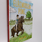 Wills Amanda : Eläinkodin poni - pikkukuva 1