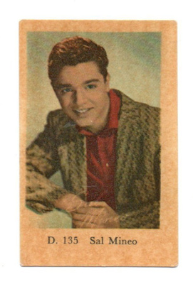 Purkkakuva  D n:o 135 Sal Mineo Purukumikuva