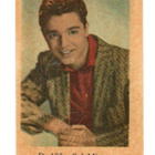 Purkkakuva D n:o 135 Sal Mineo Purukumikuva - pikkukuva 1