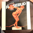 Rosebud – Discoballs (A Tribute To Pink Floyd) LP - pikkukuva 1