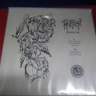 KERES - FLAMING ASH UUSI LP - pikkukuva 2