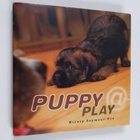 Kirsty Seymour-Ure : Puppy @ Play - pikkukuva 1