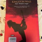 VILJAMI PUUSTINEN: KINGSTON WALL - PETRI WALLIN SAAGA - pikkukuva 4