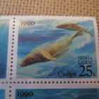 CCCP 1990: merinisäkkäitä blokki - pikkukuva 4